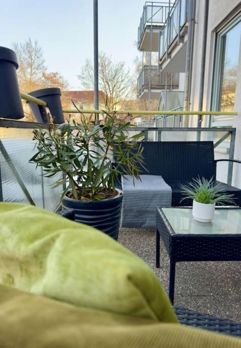 Suedstadtoase • &freeparking