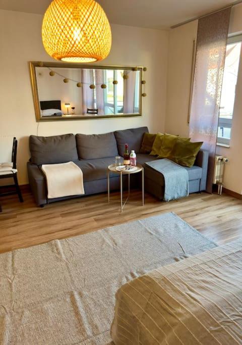 Suedstadtoase • &freeparking